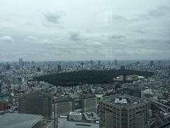 -东京都厅舍