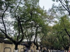 -颐和路民国时期公馆风貌区