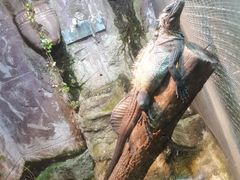 -上海大自然野生昆虫馆(东方明珠·爬宠昆虫探索中心)