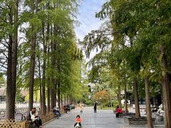 -清晏园