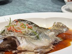 -望乡楼上海菜(日月光店)