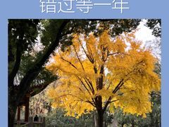 -汇龙潭