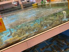 -华威西营里农产品批发市场