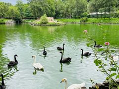 -沈阳森林动物园