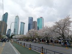 -西北湖绿化广场