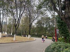 -柳州市动物园