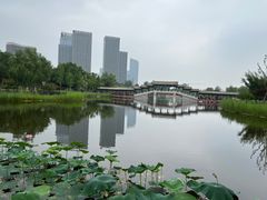 -西海子公园