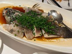 -南麓·浙里(外滩店)