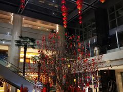 -广州白云机场雅高铂尔曼大酒店