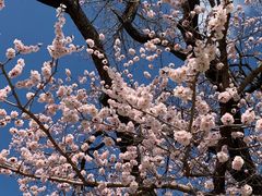 -吉林大学(南岭校区)