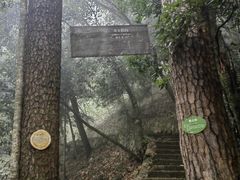 -东天目山风景区