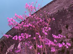 -老门东历史文化街区