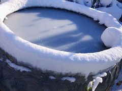 -万源龙顺度假庄园生态观光园