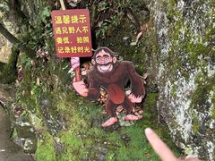 -神农架景区