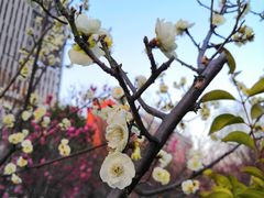 -山东大学(趵突泉校区)