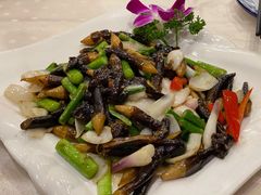黑鸡纵菌-四海之家(蛇口店)