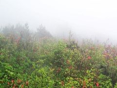 -梁野山景区