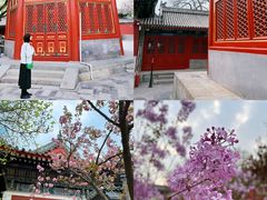 -北京艺术博物馆(万寿寺)