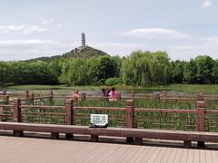 -北坞公园