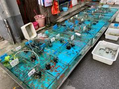 -清平路水族市场