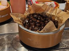 -龍歌自助小火锅(李沧丽达店)