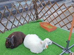 -清真·益鑫羊肉手抓馆(花园北街店)