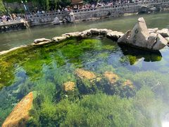 -环城公园