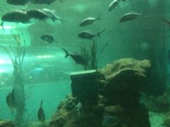-洛阳龙门海洋馆