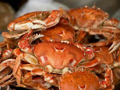 -阿英煲(凉城路店)