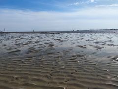 -南汇新城海滩