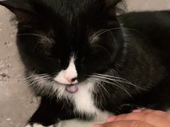 -么么咖啡(燕郊店)