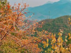-北京金海湖景区