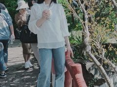 -嘉定紫藤园
