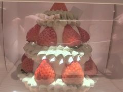 -Dark Horse·黑马蛋糕·低脂·低糖淡奶(金匙望湖大厦店)