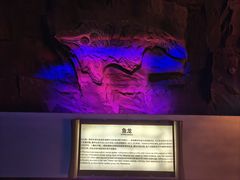 -中国西峡恐龙遗迹园