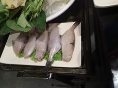 -宽板凳老灶火锅(南礼士路店)