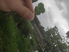 -贵阳市花溪国家城市湿地公园