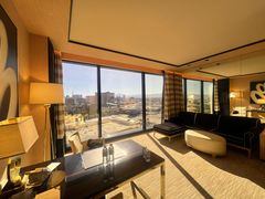 -拉斯维加斯永利酒店