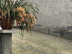 -樱桃山旅游景区