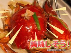 -凤凰湘语(浦东旗舰店)