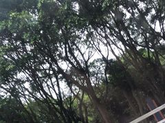 -水濂山森林公园