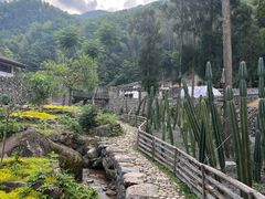 -MOJ coffee(瓯海泽雅水碓坑店)