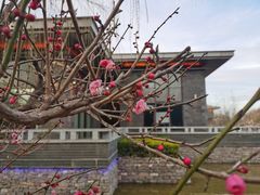 -鹦鹉寺公园
