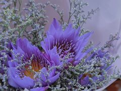 -循礼门鲜花花市(武汉循礼门店)