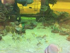 -尚泰清迈机场购物中心