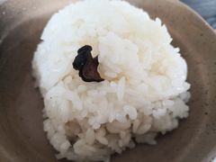 -广州素食学校·素猫豆腐(长洲码头店)