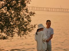 -宝安西湾红树林湿地公园