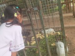 -天毓山庄·餐厅