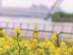 -钟山体育运动公园
