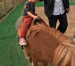 -萌宠亲子动物乐园(槐房万达店)